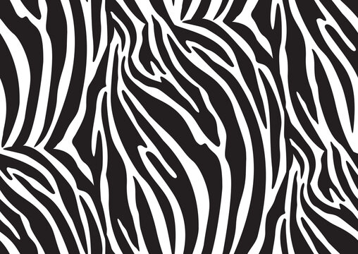 Zebra seamless pattern in abstract style on black background. Vector illustration. Camouflage.