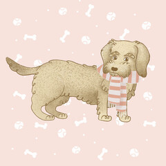 perro con bufanda ilustración