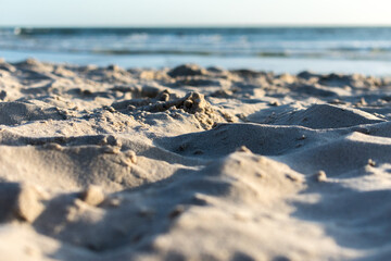 beach in the morning