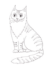 graphic linear black and white drawing of striped fluffy cat