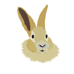 cute rabbit head vector