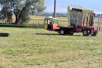 Hay bales stacked on a conveyance for transport to storage.