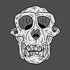 hand drawn vector illustration of a monkey skull