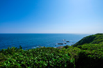 神奈川県の城ヶ島公園からの景色