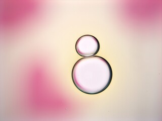 Beautiful bubbles oil with colorful white pink background ,dropslets macro image ,abstract blurred background, sweet pastel color for card design, valentine day