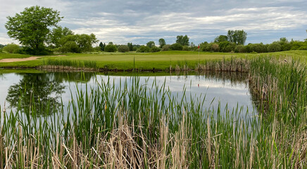 golf green par 3 marsh pond