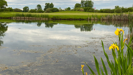 golf green par 3 marsh pond