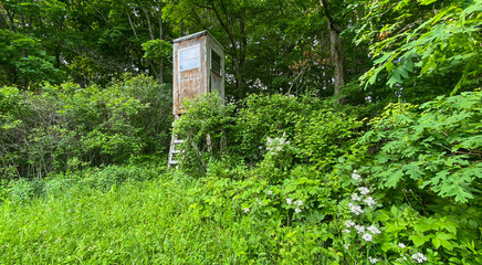 deer hunting stand in the woods