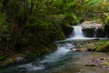 静岡県伊豆の河津七滝