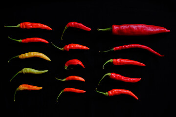 Various red chili and cayenne peppers in black background and love heart shape