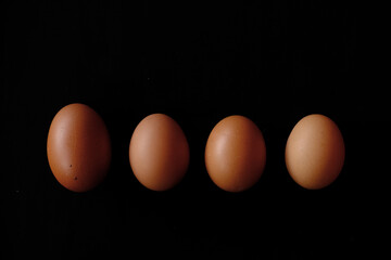 Egg in the black bacground