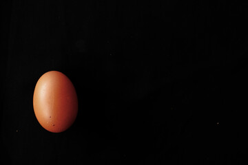 Egg in the black bacground