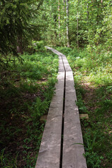 Wooden Pathway To The Woods