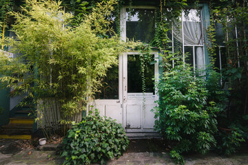 A beautiful green garden with plants growing around and a glass door