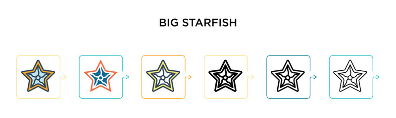 Big starfish vector icon in 6 different modern styles. Black, two colored big starfish icons designed in filled, outline, line and stroke style. Vector illustration can be used for web, mobile, ui