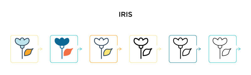Iris vector icon in 6 different modern styles. Black, two colored iris icons designed in filled, outline, line and stroke style. Vector illustration can be used for web, mobile, ui