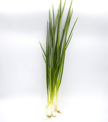 Spring onion on a white background.