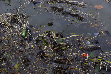 Amoncellement de déchets dans une marre d'eau. Avec une bouteille de bière.