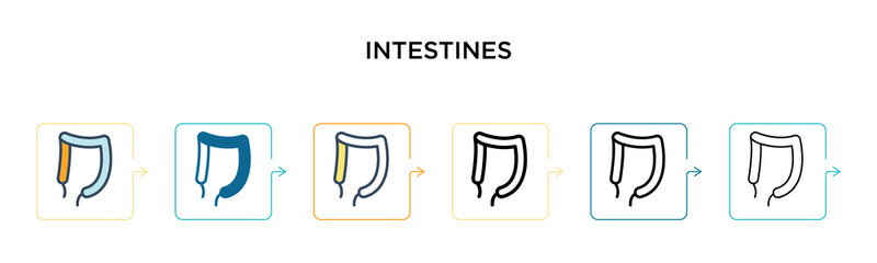 Intestines vector icon in 6 different modern styles. Black, two colored intestines icons designed in filled, outline, line and stroke style. Vector illustration can be used for web, mobile, ui