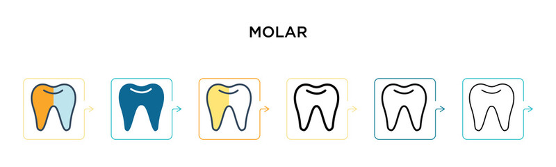 Molar vector icon in 6 different modern styles. Black, two colored molar icons designed in filled, outline, line and stroke style. Vector illustration can be used for web, mobile, ui