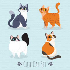 Cats Breed Set © puaypuayzaa