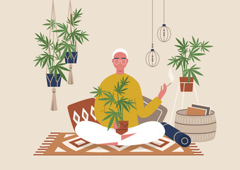 Young male character smoking weed indoor, cozy boho interior with pillows and plants, marijuana home farm