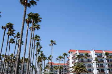 神奈川県の逗子マリーナ