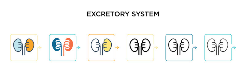 Excretory system vector icon in 6 different modern styles. Black, two colored excretory system icons designed in filled, outline, line and stroke style. Vector illustration can be used for web,
