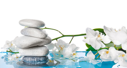 Orchid flowers and spa stones in water against white background