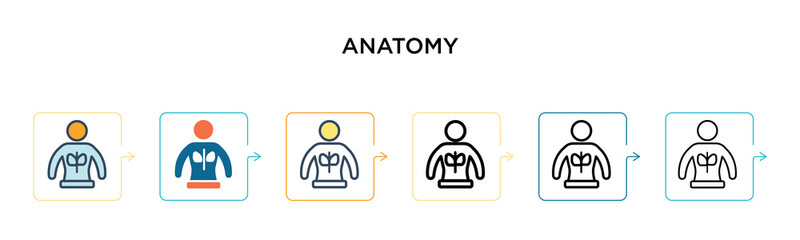 Anatomy vector icon in 6 different modern styles. Black, two colored anatomy icons designed in filled, outline, line and stroke style. Vector illustration can be used for web, mobile, ui