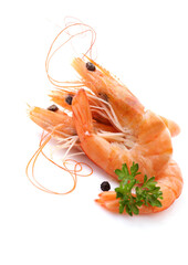 Fresh shrimps on white background