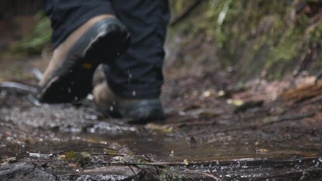 Female hiker walking through puddle on muddy trail in slow motion. Nature hike, splashing through water puddle after rain