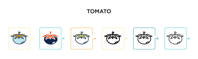 Tomato vector icon in 6 different modern styles. Black, two colored tomato icons designed in filled, outline, line and stroke style. Vector illustration can be used for web, mobile, ui