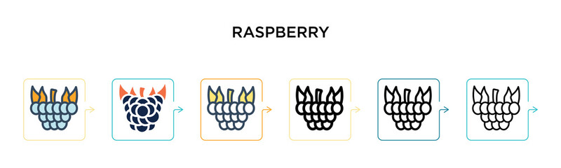 Fototapeta premium Raspberry vector icon in 6 different modern styles. Black, two colored raspberry icons designed in filled, outline, line and stroke style. Vector illustration can be used for web, mobile, ui