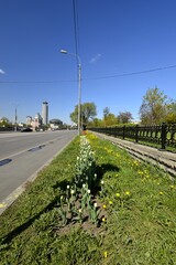 Moscow city street in spring