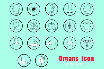 Simple set of Human organs icon related vector icon.