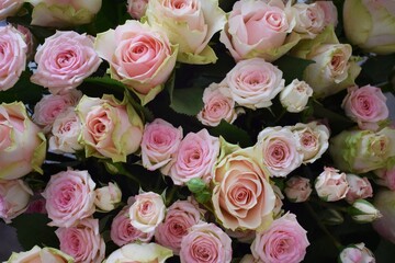 bouquet of roses
