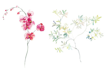 Flowers watercolor illustration.Manual composition.Big Set watercolor elements. - 356863938