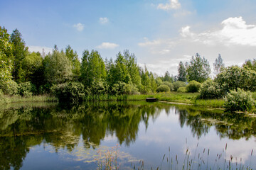 Forest lake shore landscape in sunny day. Summer forest lake shore panorama. Forest lake shore view.
