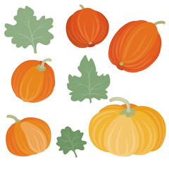 set of pumpkins of different shapes with leaves, flat, cartoon illustration, isolated object on a white background, vector illustration,