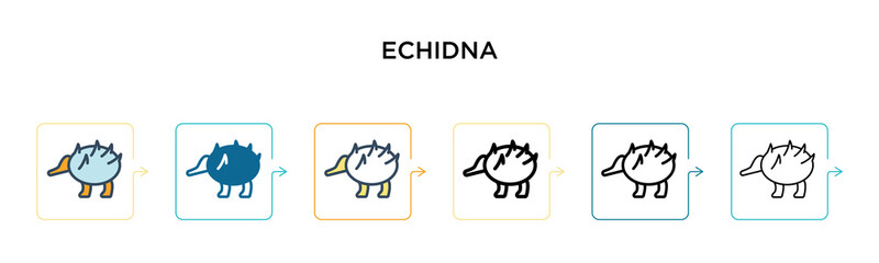 Echidna vector icon in 6 different modern styles. Black, two colored echidna icons designed in filled, outline, line and stroke style. Vector illustration can be used for web, mobile, ui