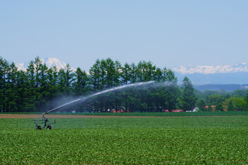 スプリンクラー