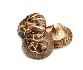 Shiitake Mushrooms isolated on white background
