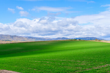 北海道美瑛の丘