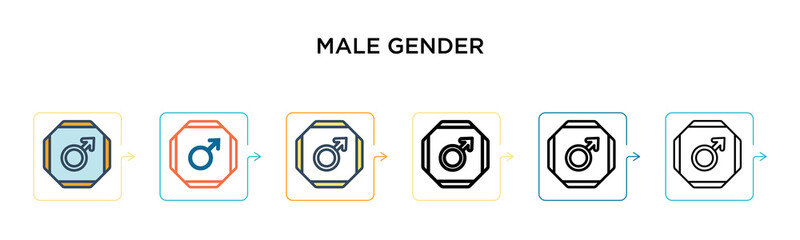 Male gender sign vector icon in 6 different modern styles. Black, two colored male gender sign icons designed in filled, outline, line and stroke style. Vector illustration can be used for web,