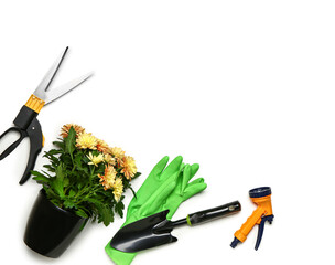 Set of gardening supplies with plant on white background