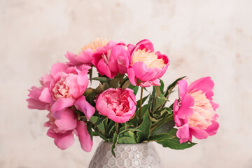 Bouquet of beautiful peony flowers on light background