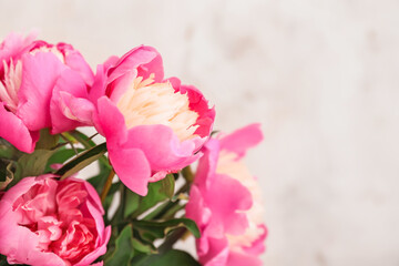 Bouquet of beautiful peony flowers on  light background
