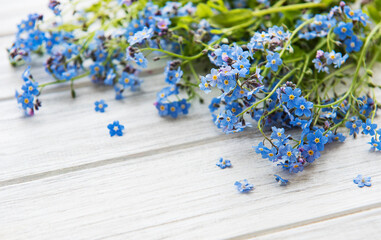 Forget-me-nots on white wooden background