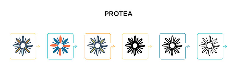 Protea vector icon in 6 different modern styles. Black, two colored protea icons designed in filled, outline, line and stroke style. Vector illustration can be used for web, mobile, ui
